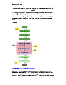 Biology a2 yeast respiration coursework
