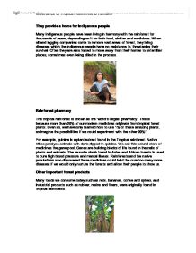 Rainforest Essays (Examples)