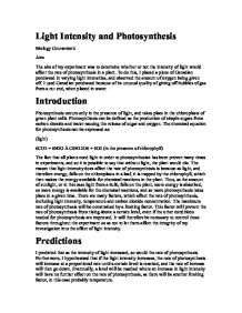 Biology photosynthesis coursework
