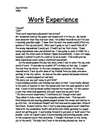 Job experience essay