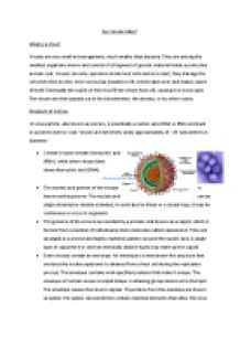 Реферат: Are Viruses Alive Essay Research Paper Are